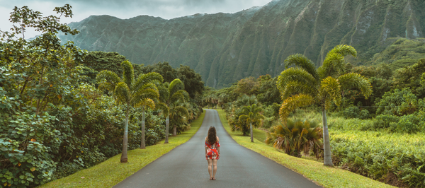 When is the Best Time to Visit Hawaii - Solgaard