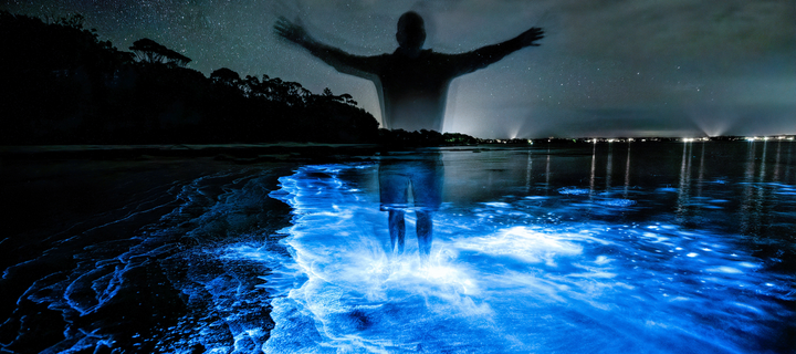 Where can I see a bioluminescent beach?