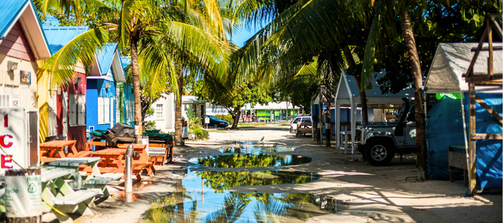 Surf, Relax, Repeat: Escape to Barbados this Winter