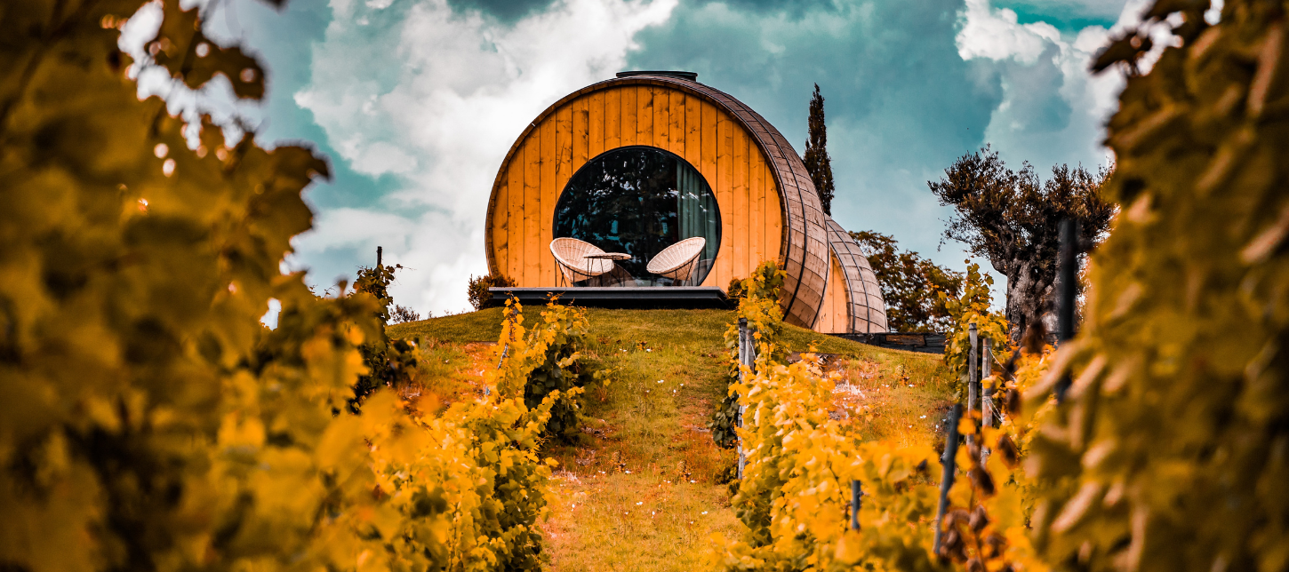 Why You Have to do a Cruise through the Douro Valley, Portugal