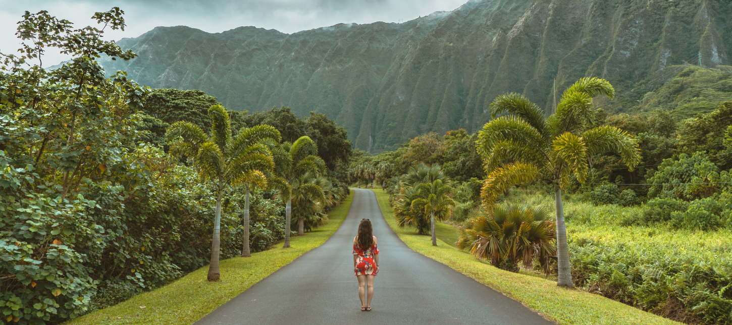 When is the Best Time to Visit Hawaii