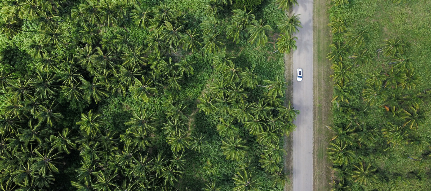 7 Sustainable Living Ideas