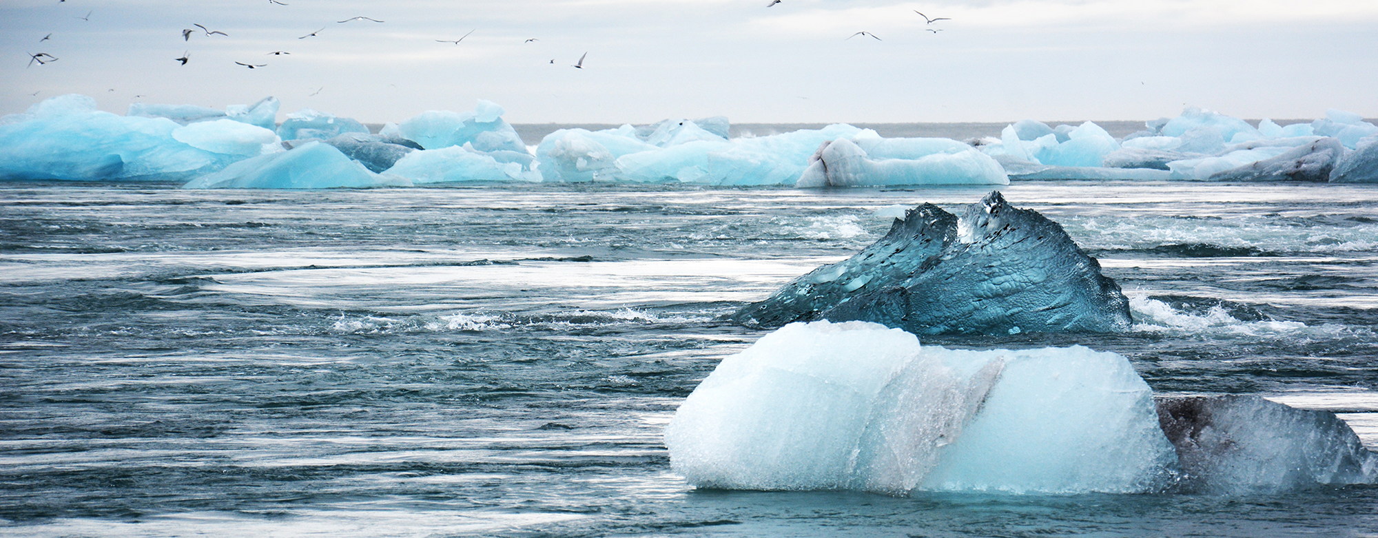 Headlines Climate Change News You Need to Know Solgaard