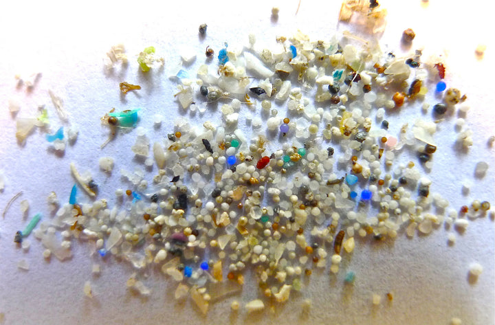 How is micro plastic affecting our bloodstreams?
