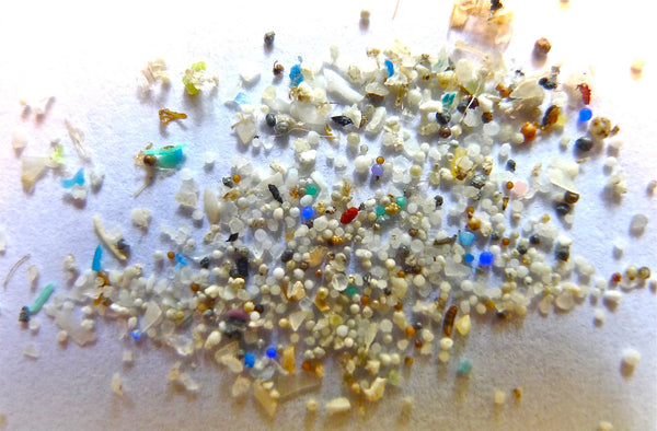How is micro plastic affecting our bloodstreams? – Solgaard