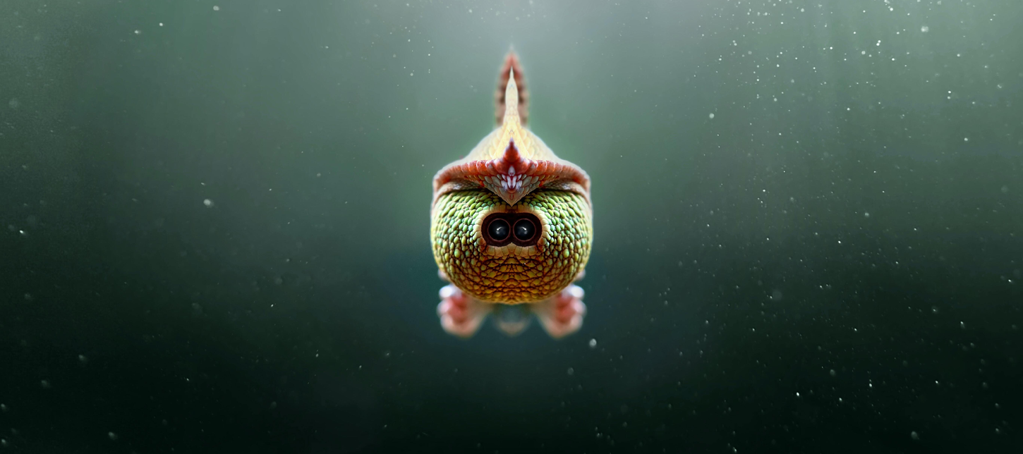 6 Outta This World Sea Creatures