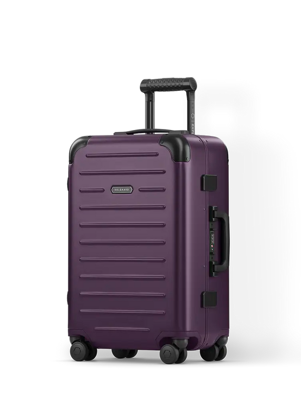 Carry-On Closet Original