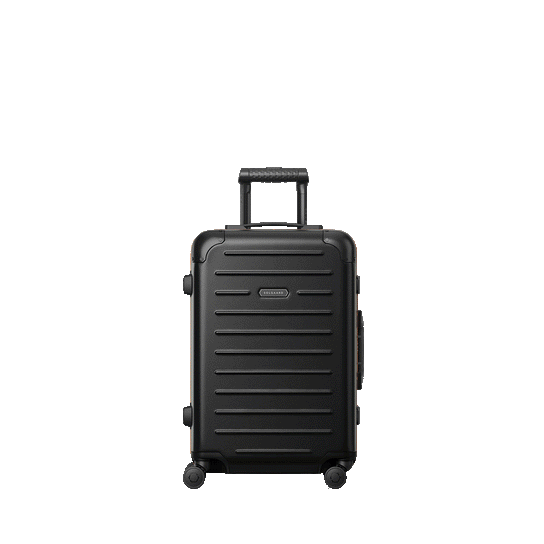 Baltic Black/Rose Gold | Carry-On Closet