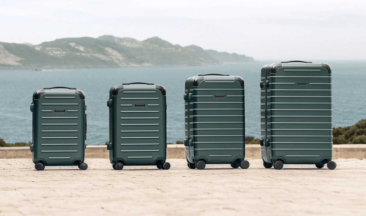 Winnings luggage top